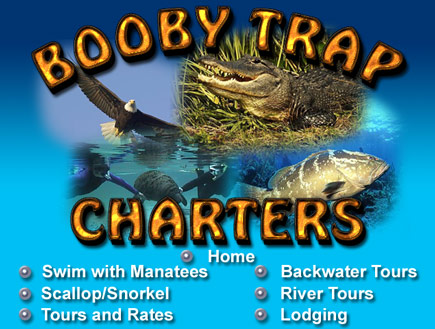 Homosassa River Tours, Homosassa Florida